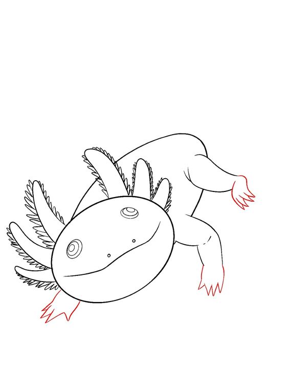 39 Cool Printable Axolotl Coloring Pages 31