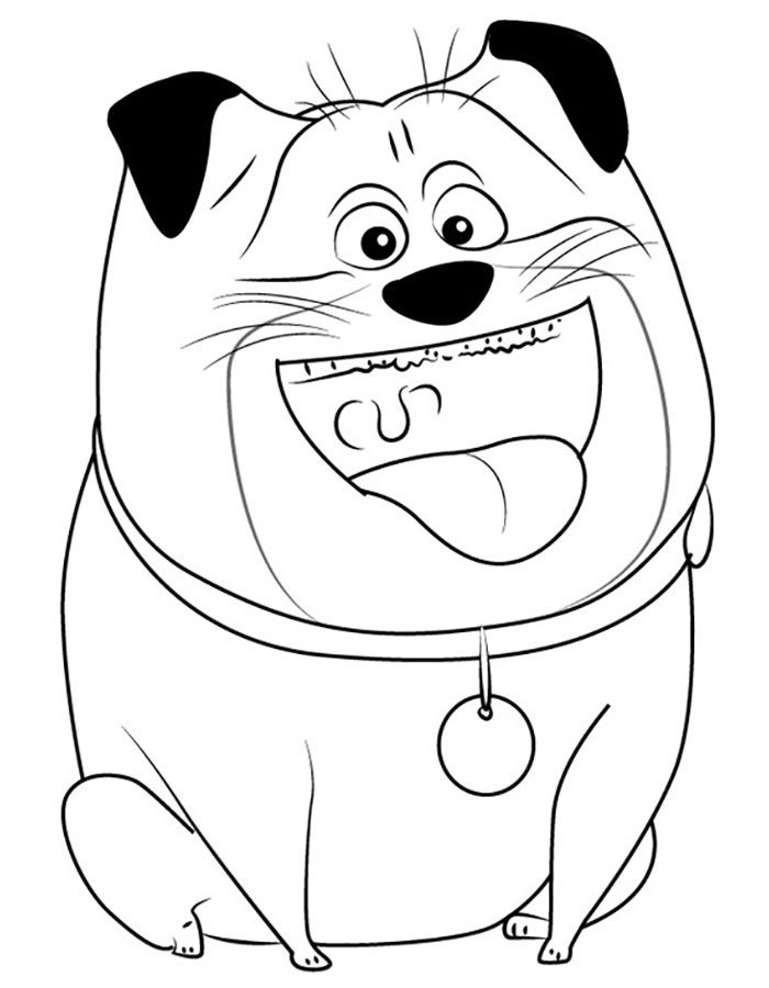 74 Pets Coloring Pages Printable 37