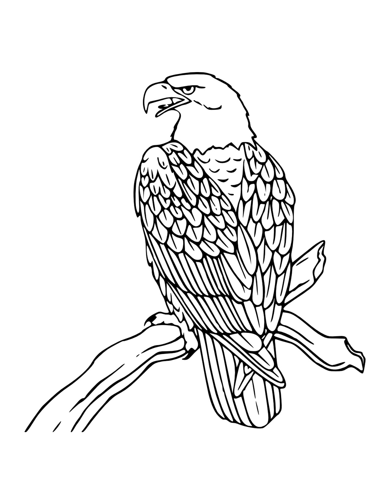 92 Free Bald Eagle Coloring Pages for Kids Printable 1