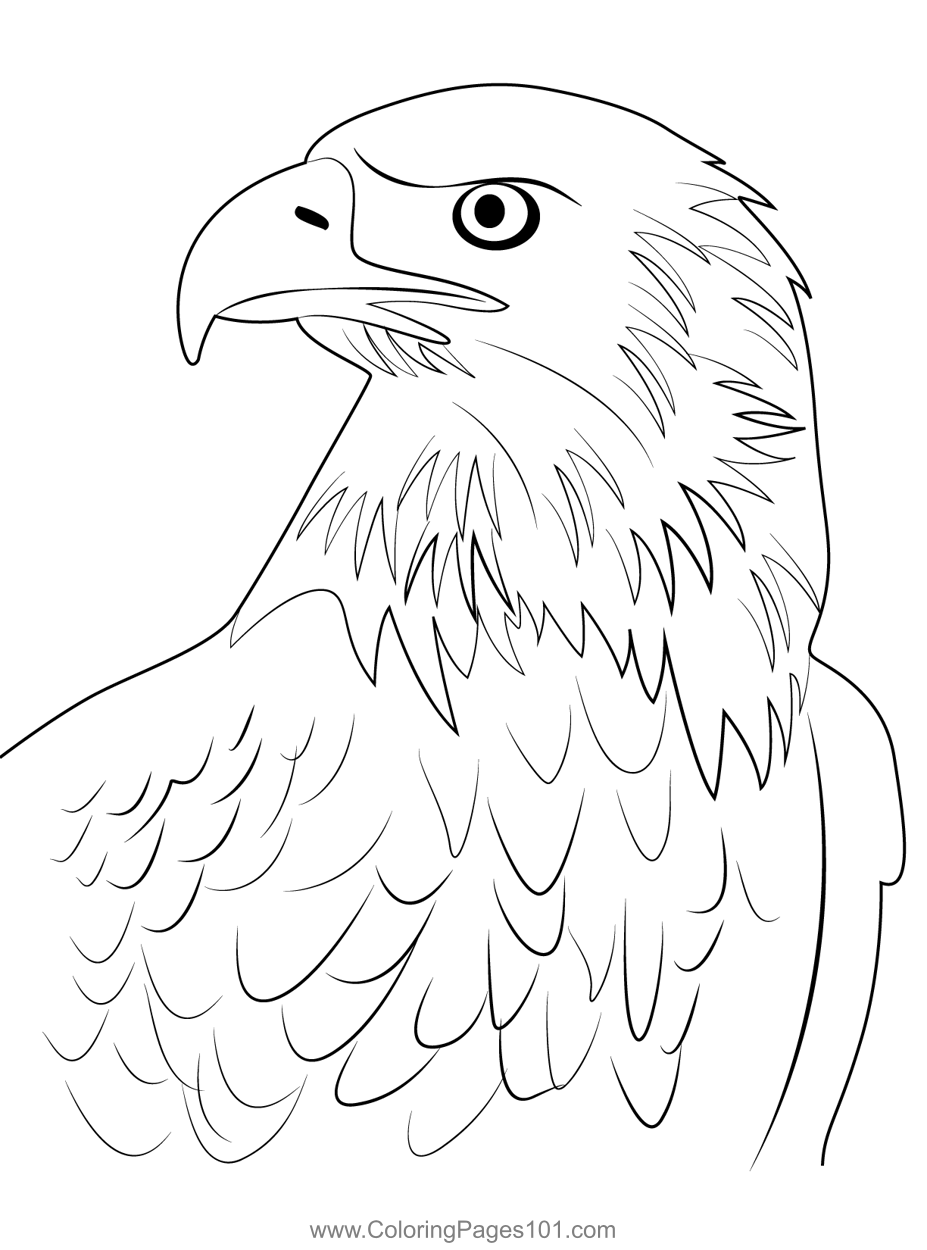 92 Free Bald Eagle Coloring Pages for Kids Printable 13