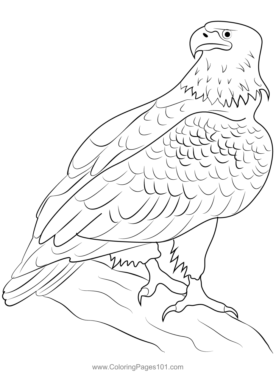 92 Free Bald Eagle Coloring Pages for Kids Printable 14