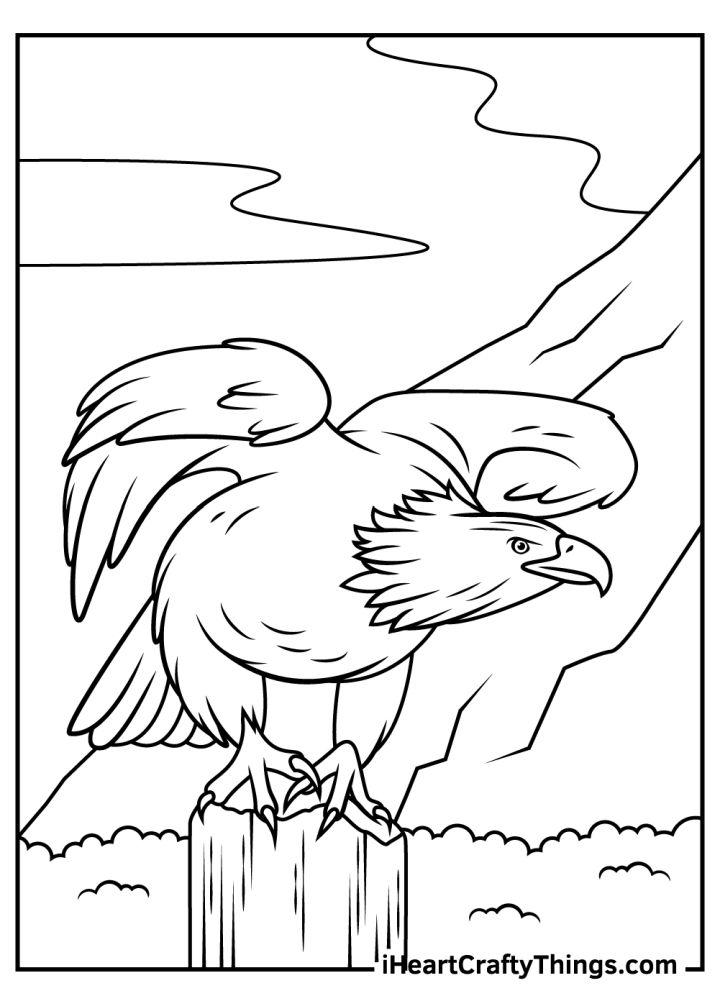 92 Free Bald Eagle Coloring Pages for Kids Printable 17