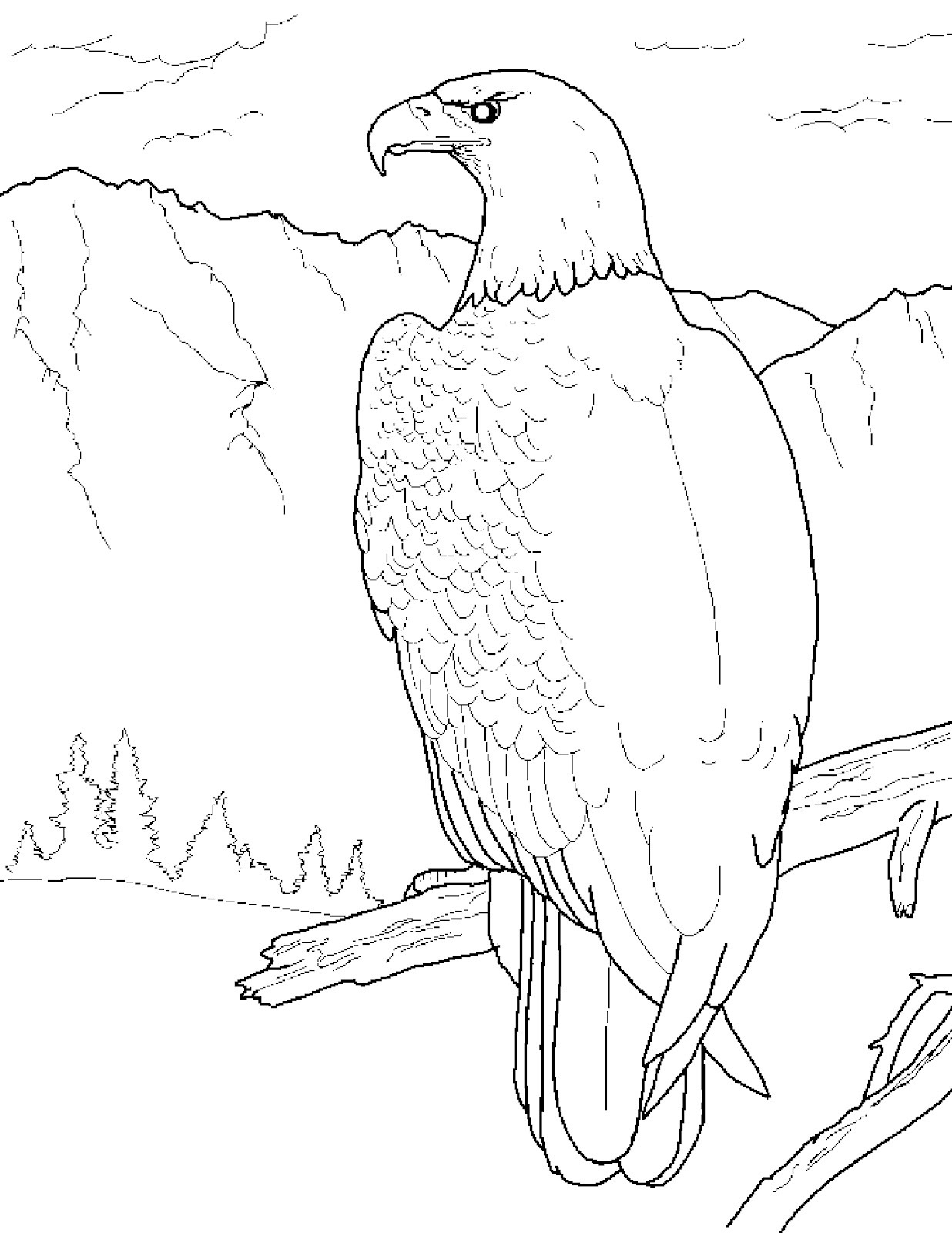 92 Free Bald Eagle Coloring Pages for Kids Printable 24