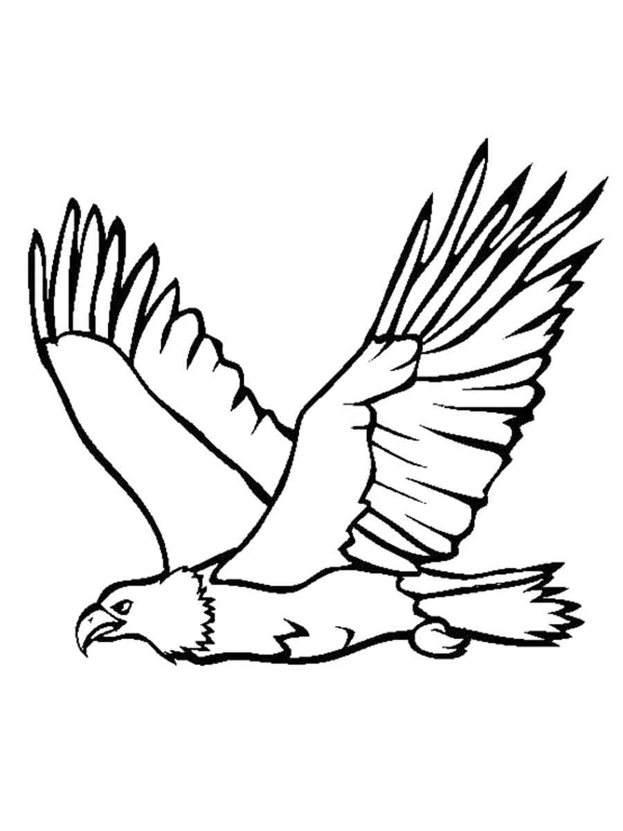 92 Free Bald Eagle Coloring Pages for Kids Printable 29