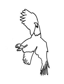 92 Free Bald Eagle Coloring Pages for Kids Printable 30