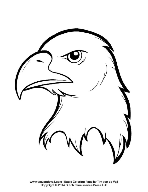 92 Free Bald Eagle Coloring Pages for Kids Printable 34