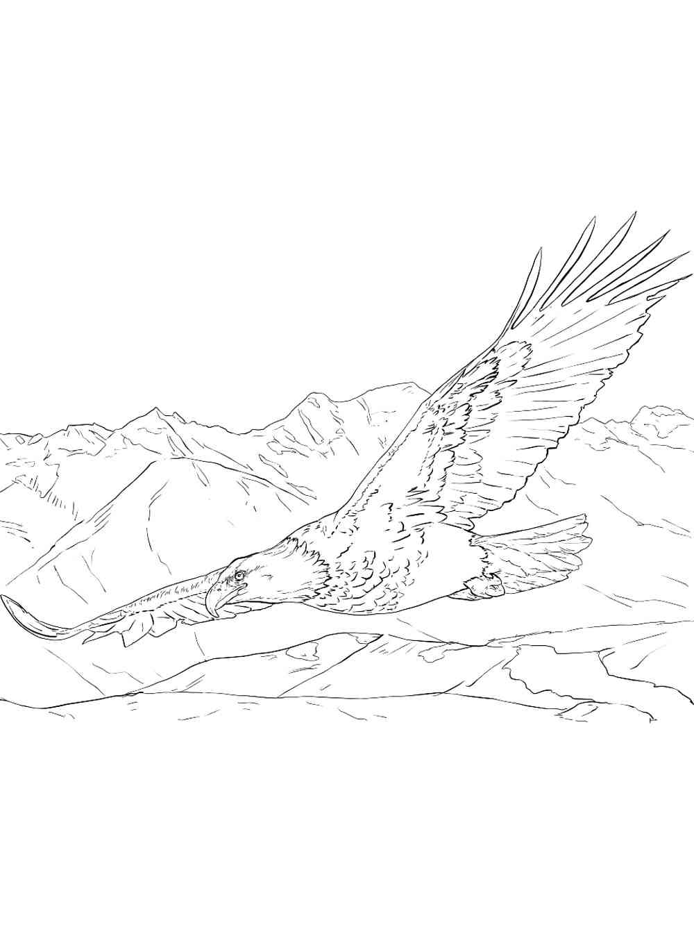 92 Free Bald Eagle Coloring Pages for Kids Printable 40