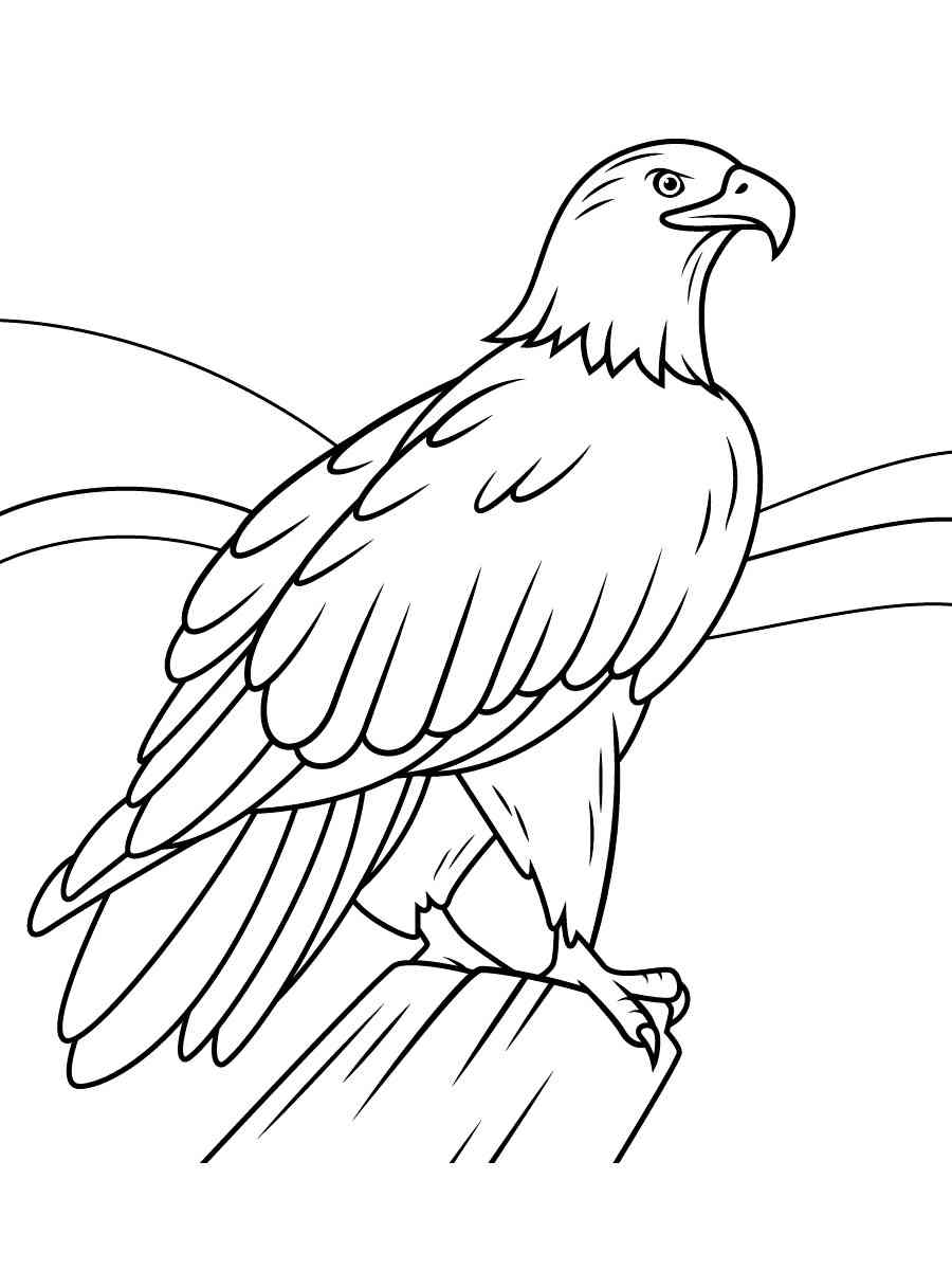 92 Free Bald Eagle Coloring Pages for Kids Printable 46