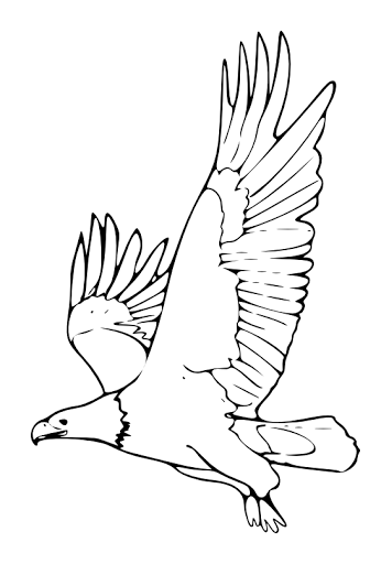 92 Free Bald Eagle Coloring Pages for Kids Printable 5