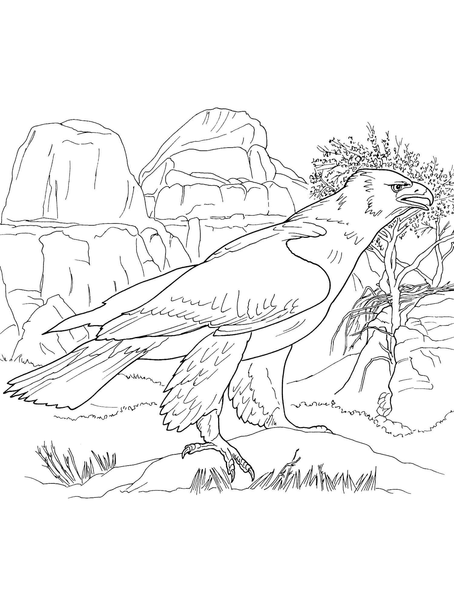 92 Free Bald Eagle Coloring Pages for Kids Printable 52