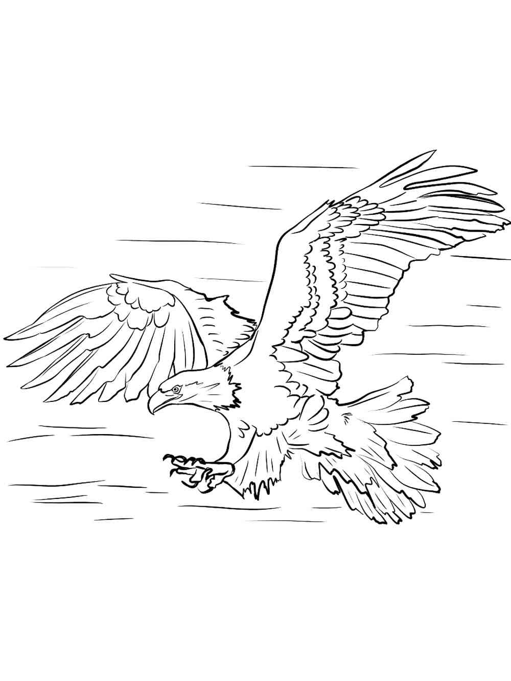 92 Free Bald Eagle Coloring Pages for Kids Printable 55