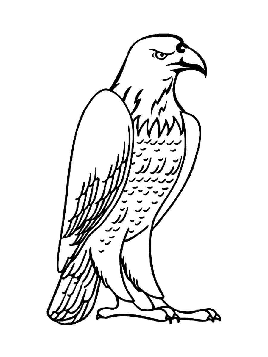 92 Free Bald Eagle Coloring Pages for Kids Printable 57