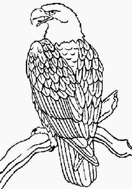 92 Free Bald Eagle Coloring Pages for Kids Printable 61