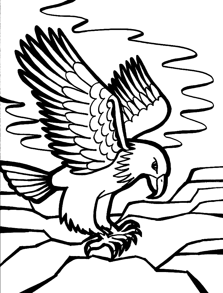 92 Free Bald Eagle Coloring Pages for Kids Printable 63