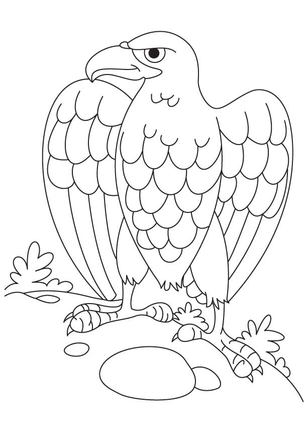 92 Free Bald Eagle Coloring Pages for Kids Printable 64