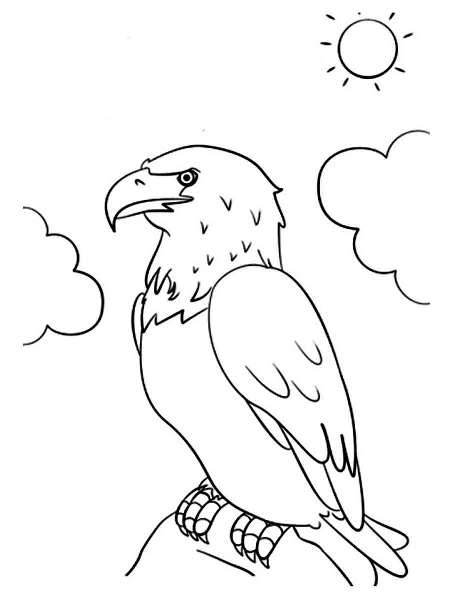 92 Free Bald Eagle Coloring Pages for Kids Printable 67