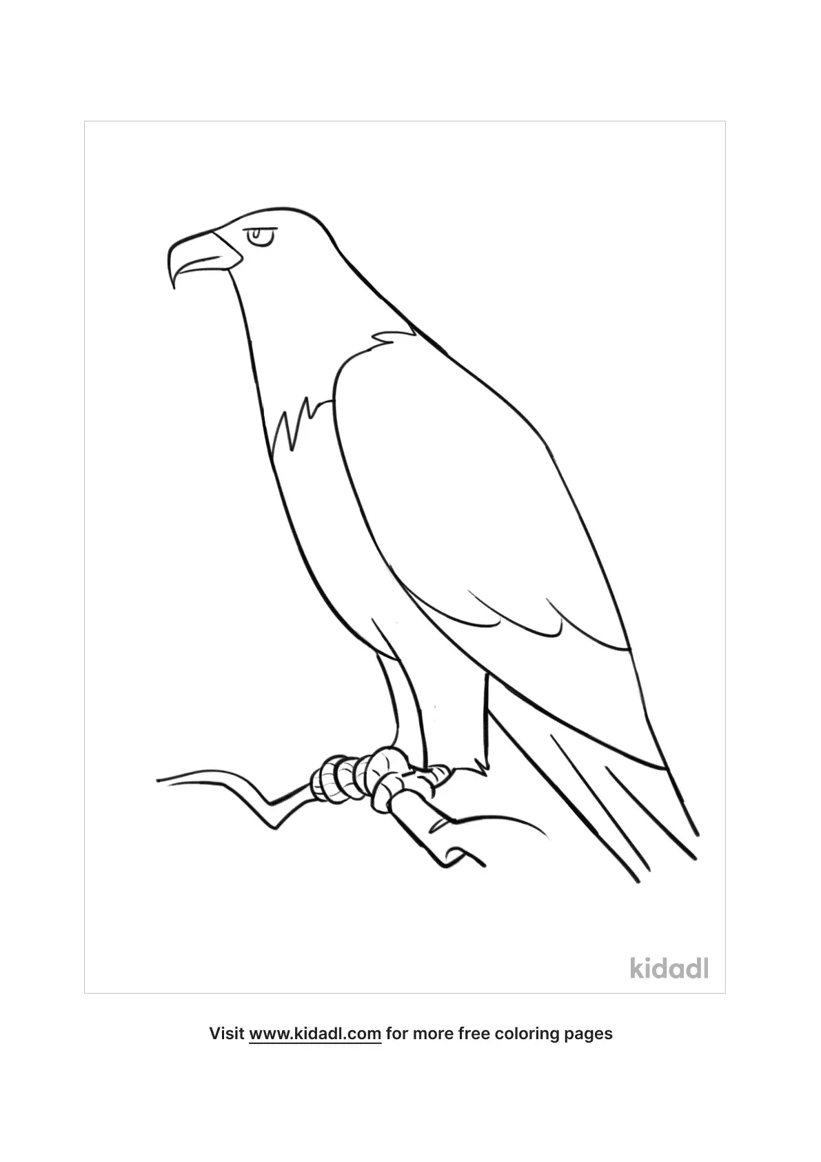 92 Free Bald Eagle Coloring Pages for Kids Printable 71