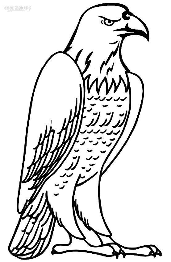 92 Free Bald Eagle Coloring Pages for Kids Printable 74