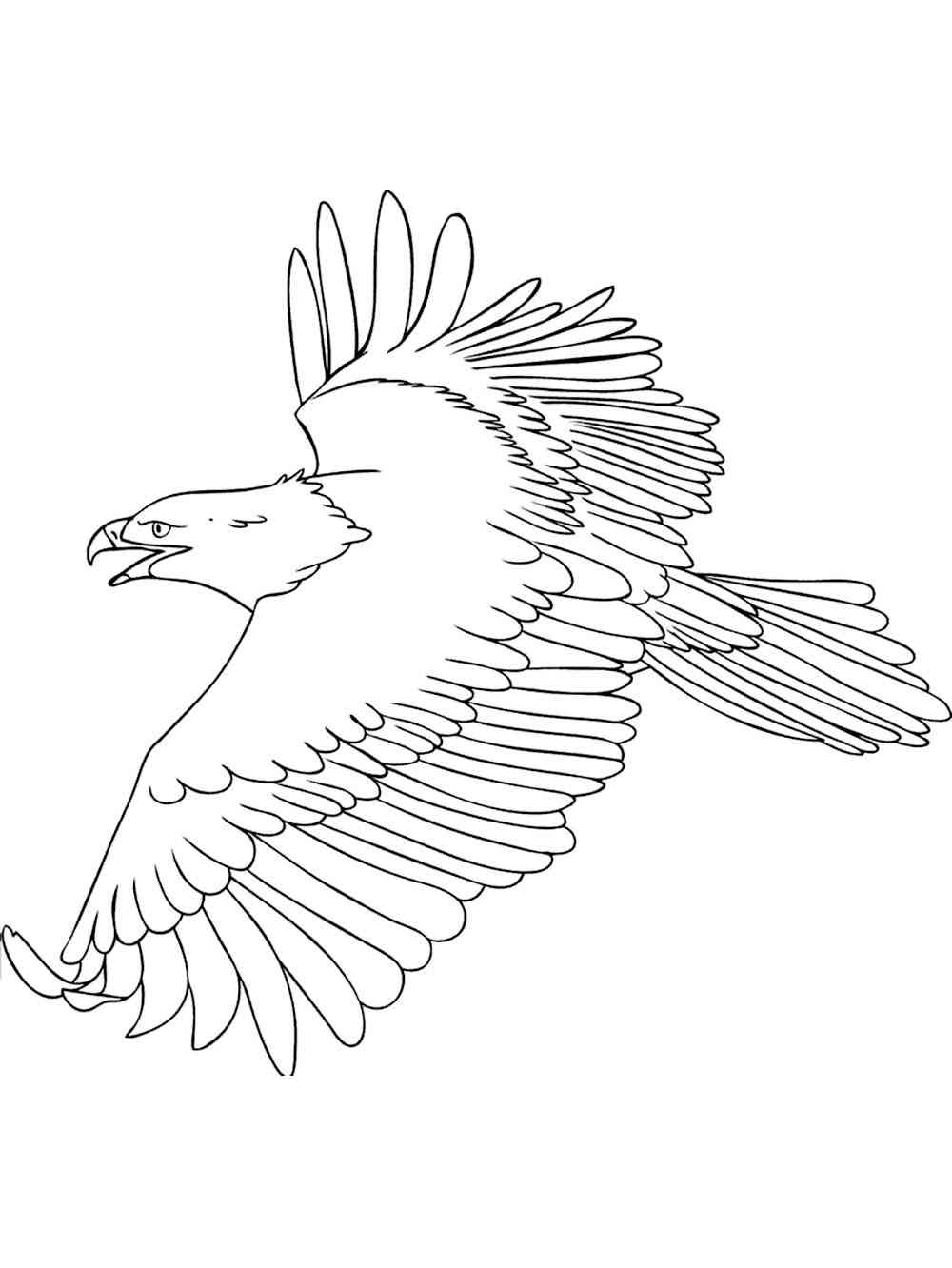 92 Free Bald Eagle Coloring Pages for Kids Printable 75