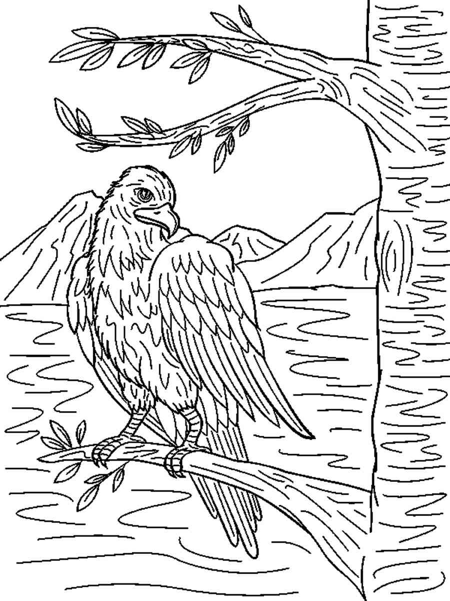 92 Free Bald Eagle Coloring Pages for Kids Printable 77