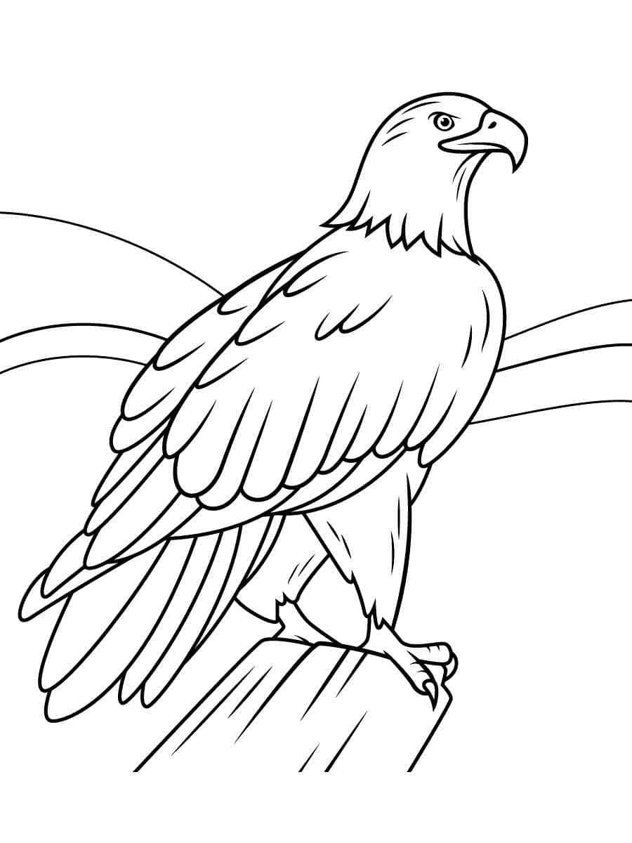 92 Free Bald Eagle Coloring Pages for Kids Printable 78