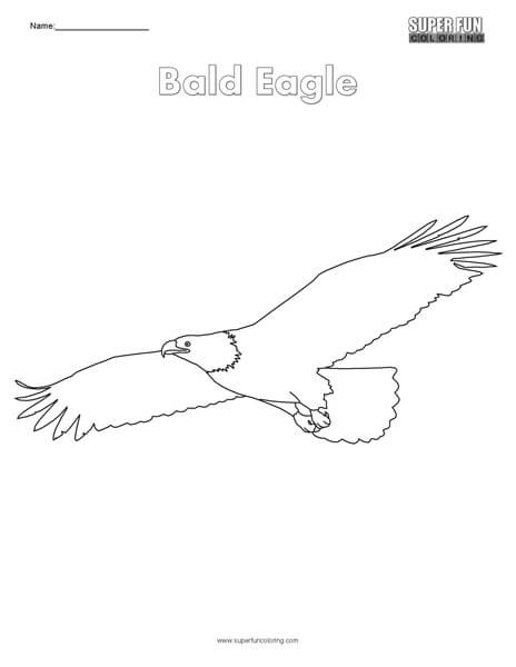 92 Free Bald Eagle Coloring Pages for Kids Printable 8