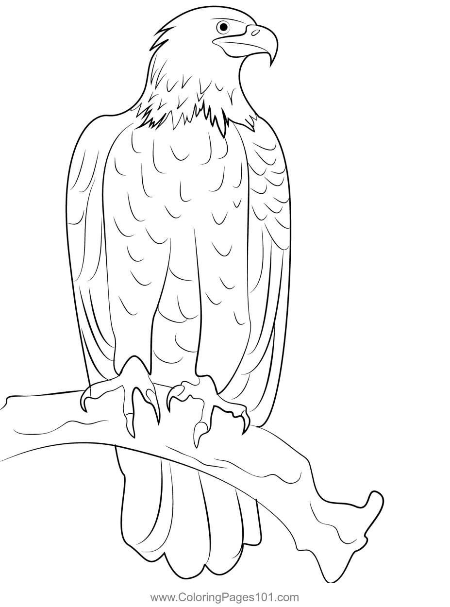 92 Free Bald Eagle Coloring Pages for Kids Printable 83