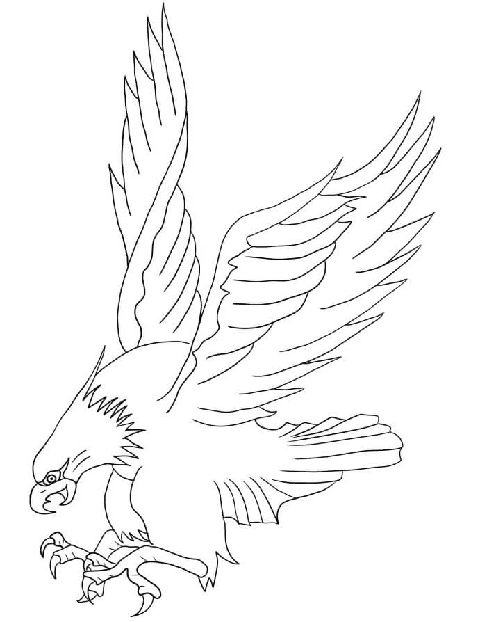 92 Free Bald Eagle Coloring Pages for Kids Printable 85