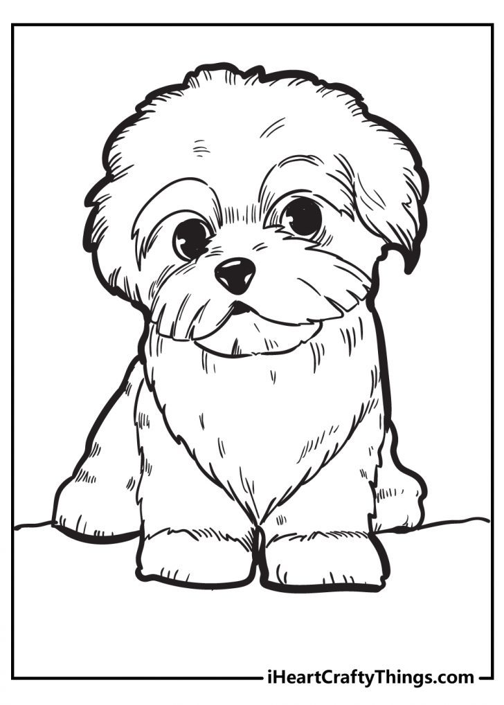 Adorable Puppy Coloring Pages Printable 12