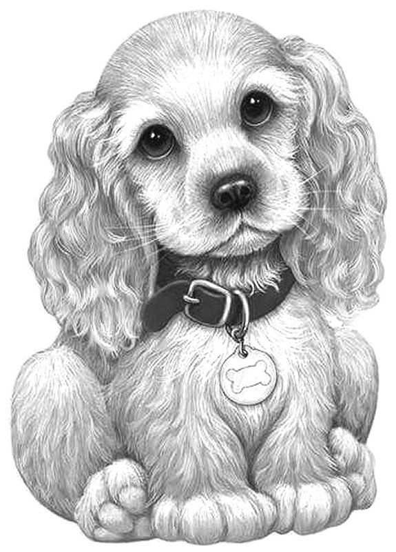 Adorable Puppy Coloring Pages Printable 13