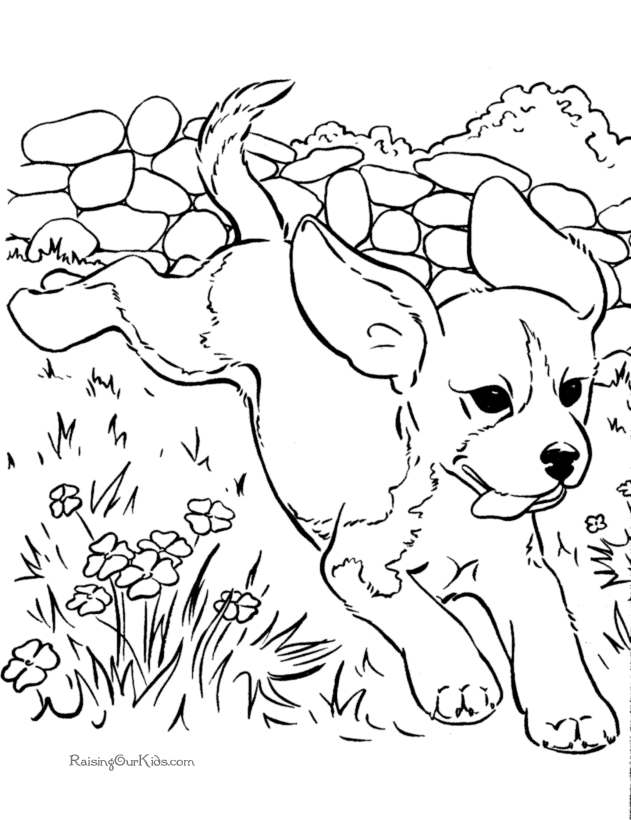 Adorable Puppy Coloring Pages Printable 20