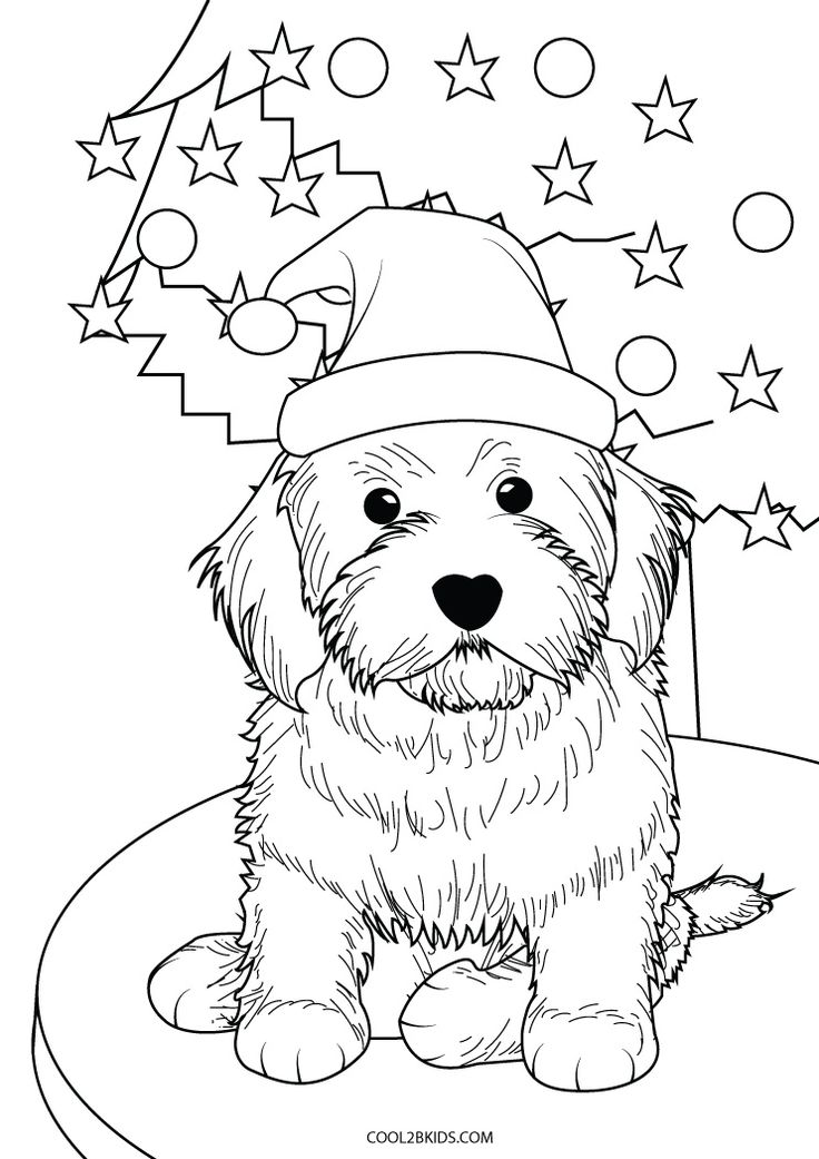 Adorable Puppy Coloring Pages Printable 22