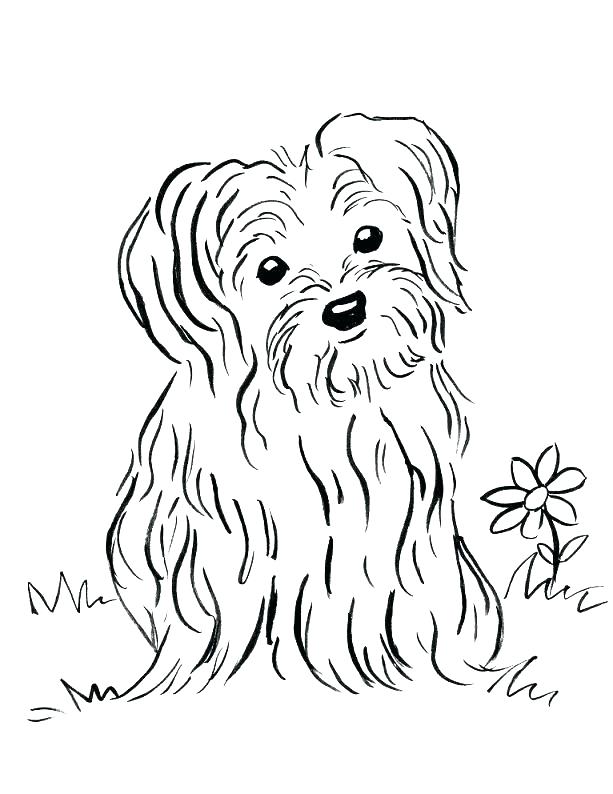 Adorable Puppy Coloring Pages Printable 25