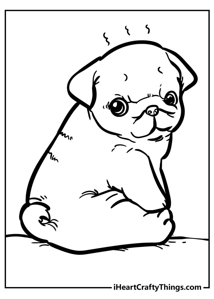 Adorable Puppy Coloring Pages Printable 4