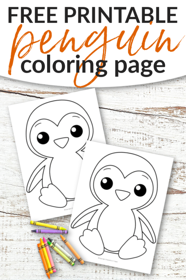 Charming Penguin Coloring Pages Printable 21