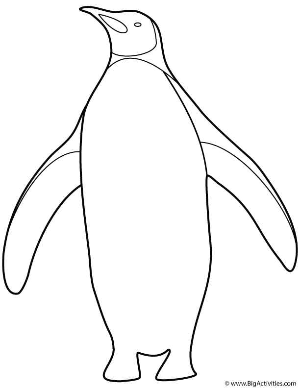 Charming Penguin Coloring Pages Printable 24