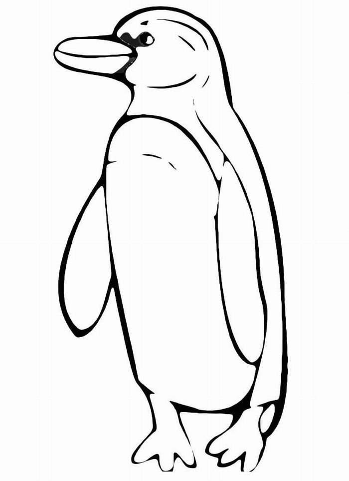 Charming Penguin Coloring Pages Printable 30