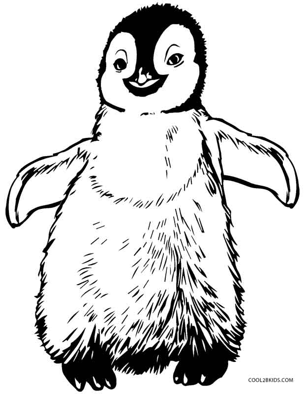 Charming Penguin Coloring Pages Printable 35