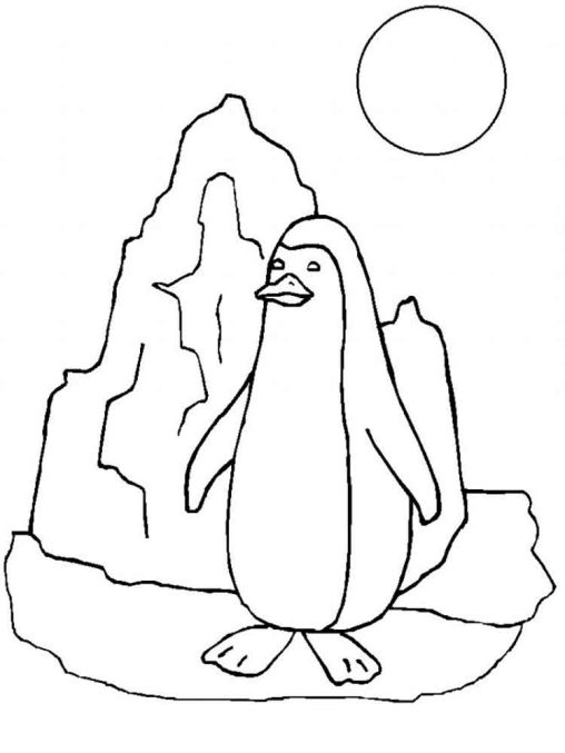 Charming Penguin Coloring Pages Printable 9