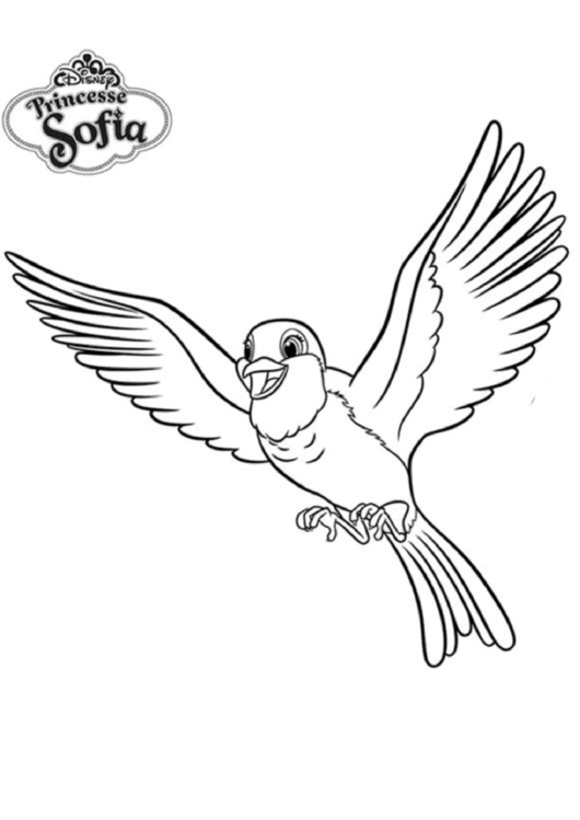 Charming Robin Coloring Pages Printable 19