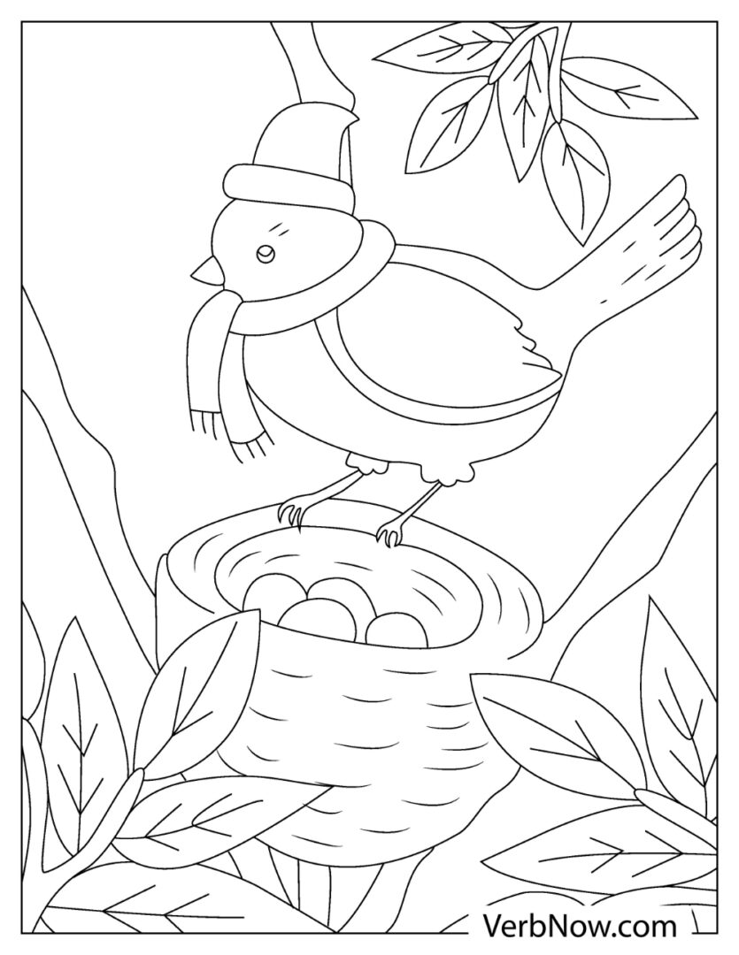Charming Robin Coloring Pages Printable 27