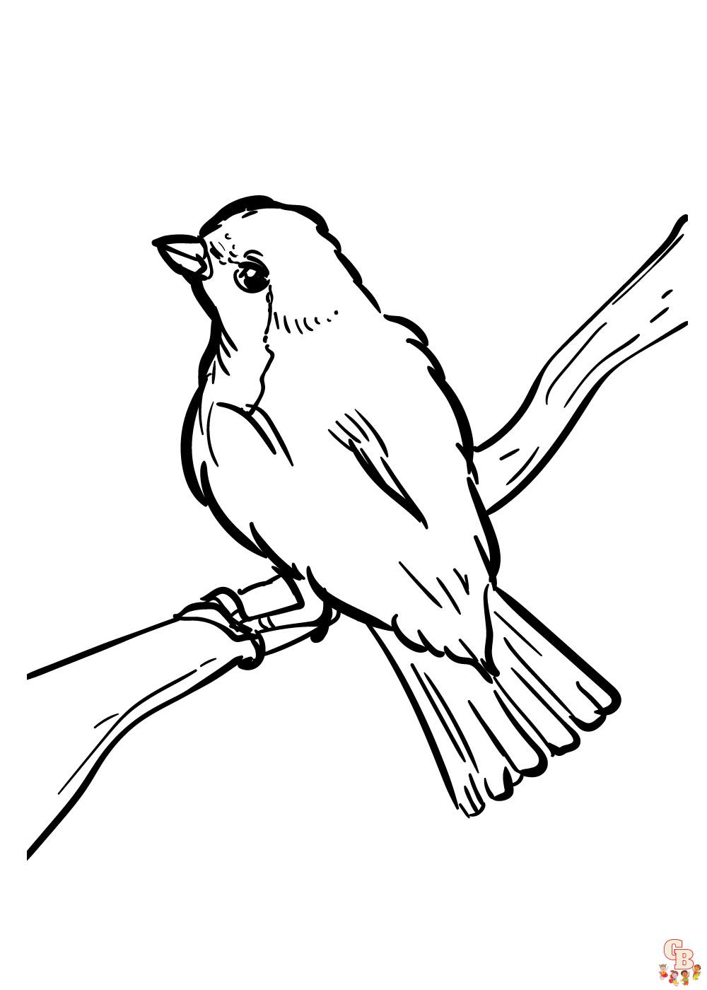 Charming Robin Coloring Pages Printable 3