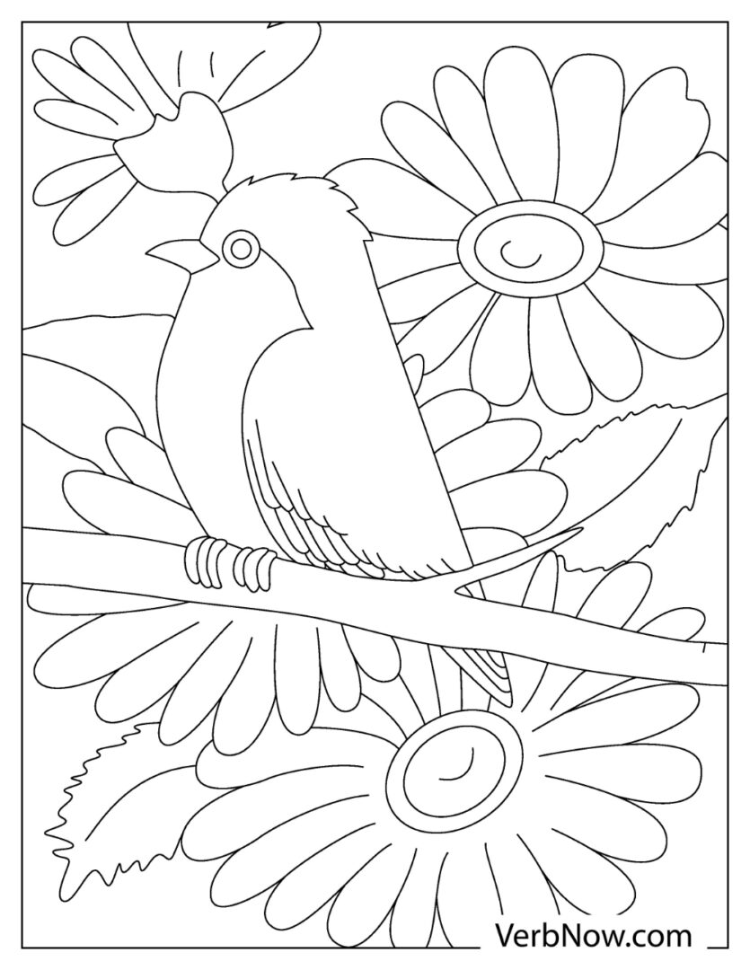 Charming Robin Coloring Pages Printable 32