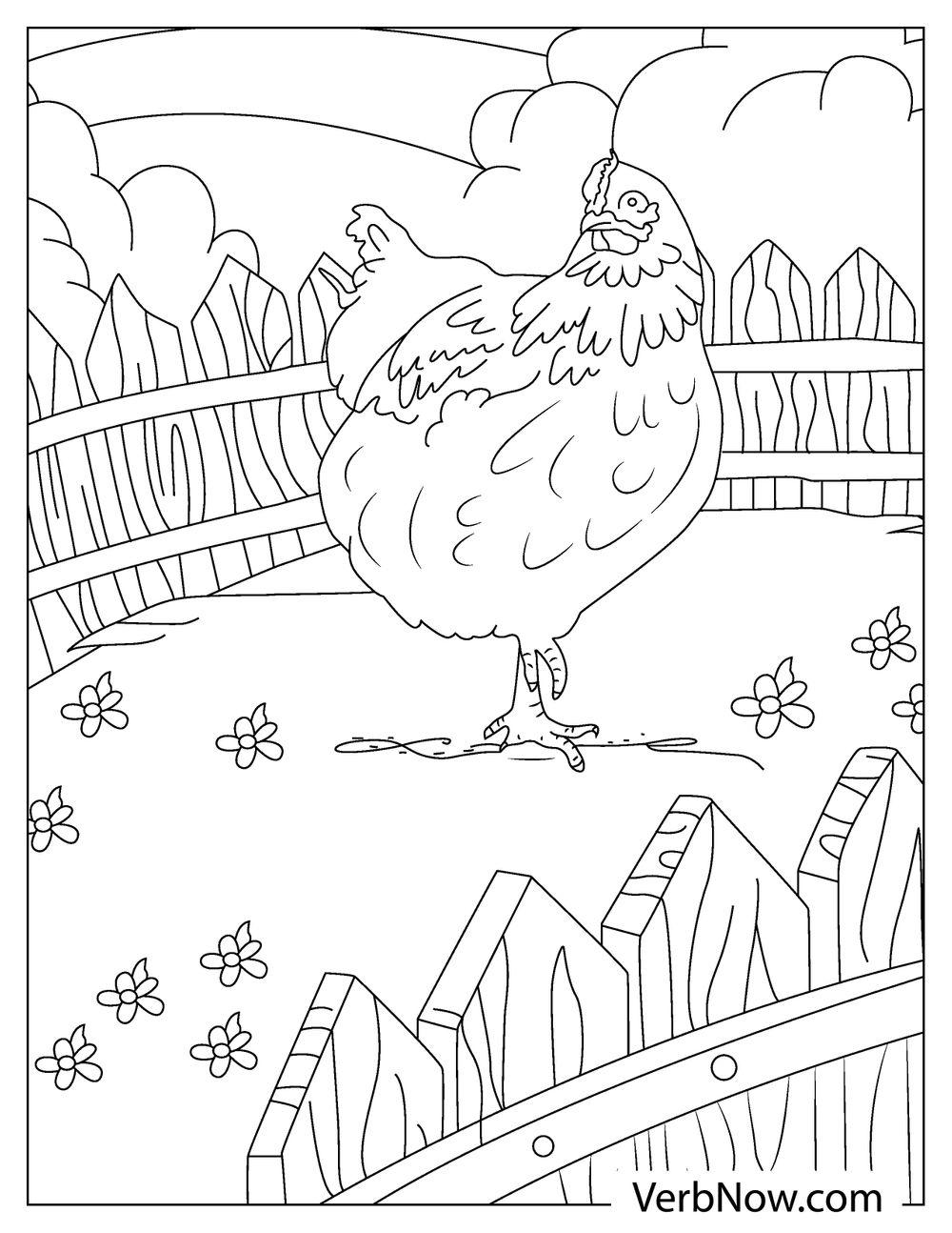 Cute Chicken Coloring Pages Printable 14