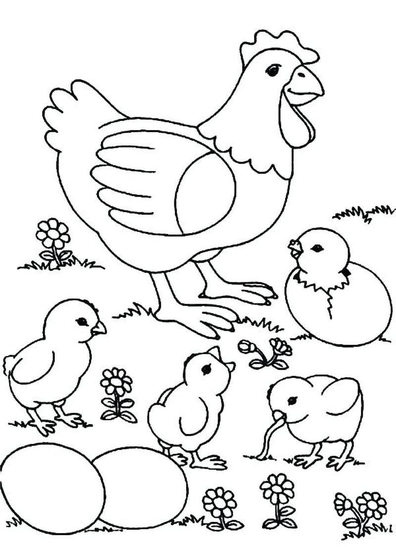 Cute Chicken Coloring Pages Printable 3