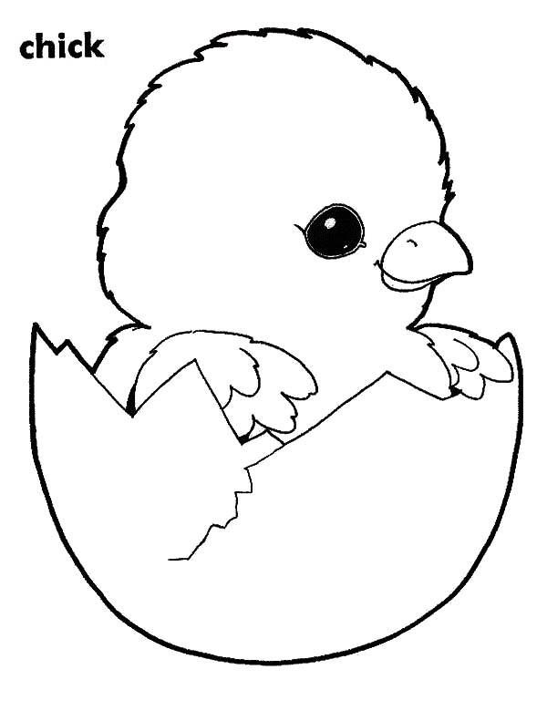 Cute Chicken Coloring Pages Printable 31