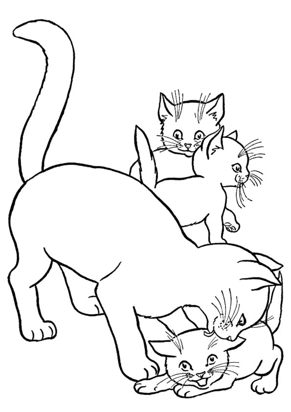 Cute Kitten Coloring Pages Printable 12