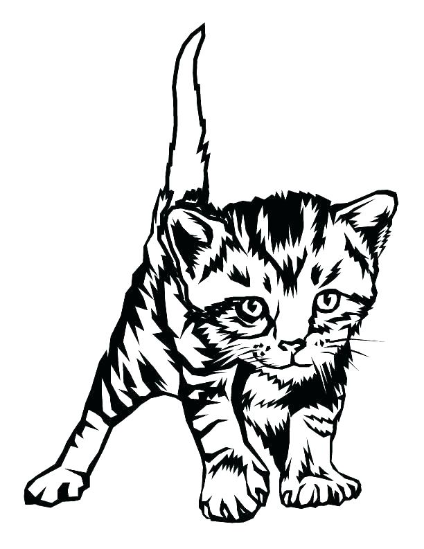 Cute Kitten Coloring Pages Printable 15