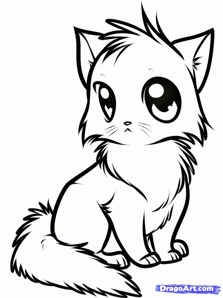 Cute Kitten Coloring Pages Printable 2