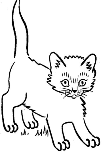 Cute Kitten Coloring Pages Printable 22